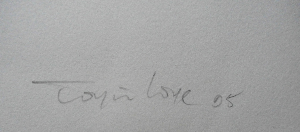 Toyin Loye - zeefdruk: Ara Orum - 2005 kopen? Bied vanaf 125!