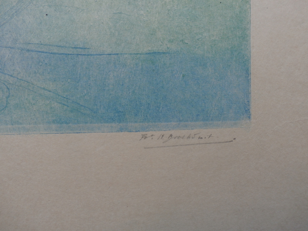 Frederika Broeksmit - Kleurenlitho: Slootje met waterlelie  kopen? Bied vanaf 55!