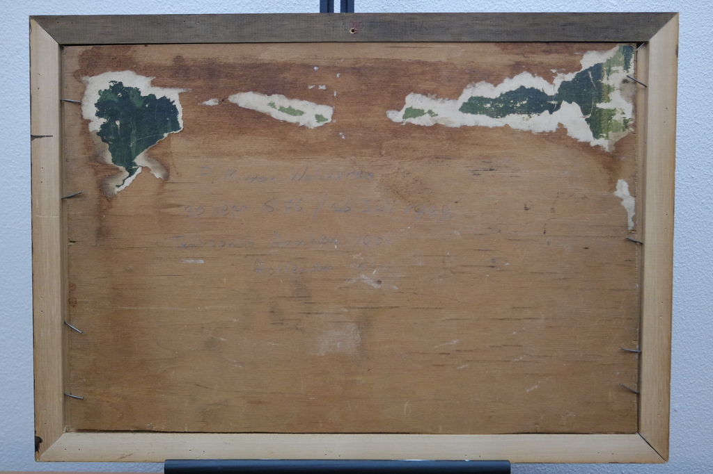 Petrus Marinus van Walcheren - olieverf op paneel - veegezicht - gesigneerd l.o. kopen? Bied vanaf 175!