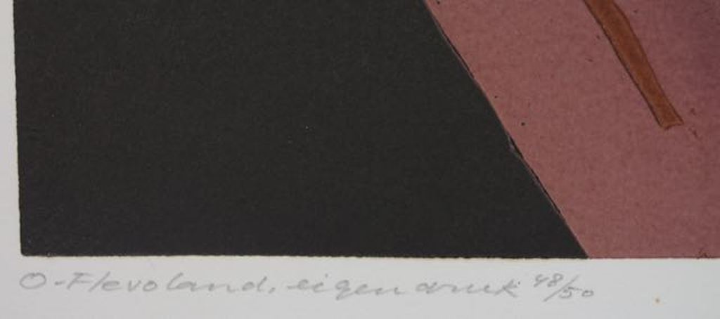 Tijs Buit: Lino, O-Flevoland kopen? Bied vanaf 20!
