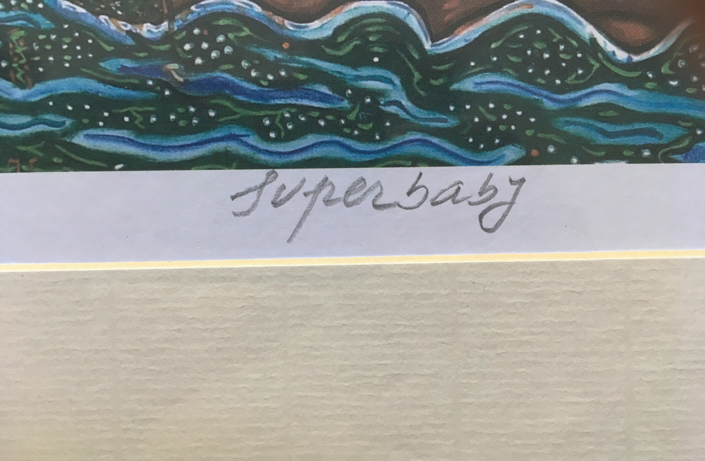 Pjeroo Roobjee, kleurenlitho, Superbaby kopen? Bied vanaf 30!