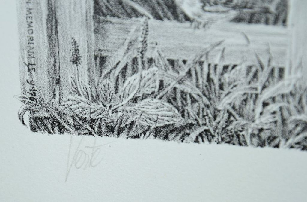 Peter Vos: mooie litho 'Verte' kopen? Bied vanaf 80!