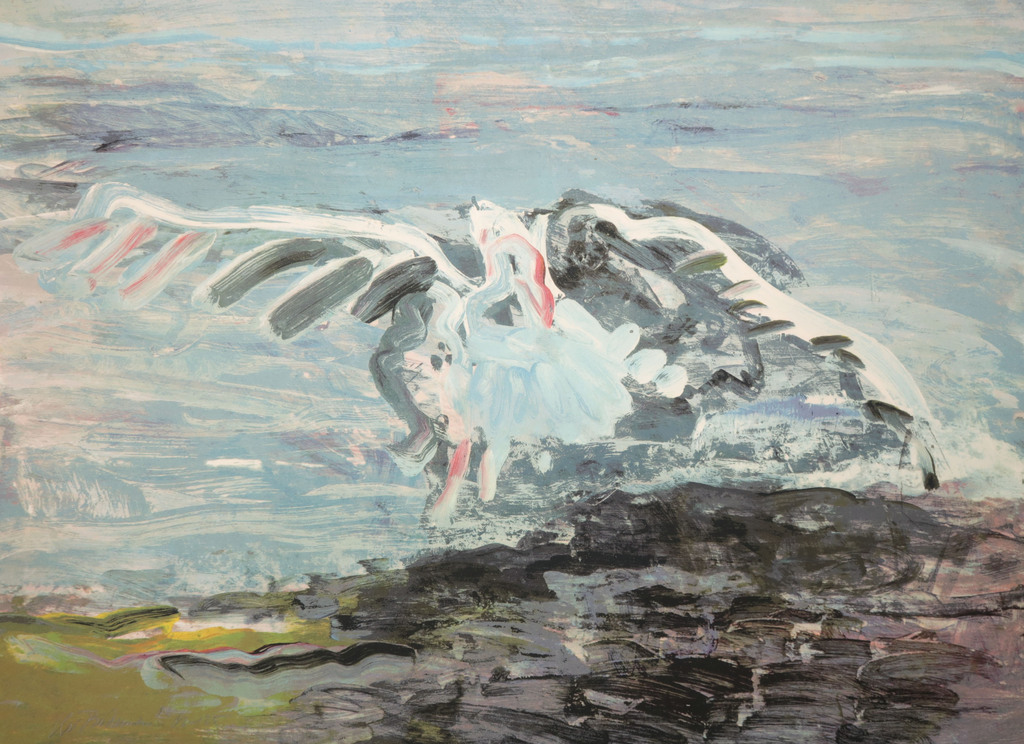 Kees van Bohemen: Zeefdruk, Meeuw kopen? Bied vanaf 150!