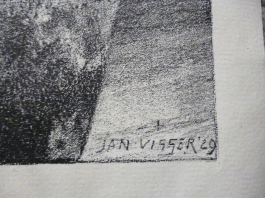 Jan Visser - litho - Orchidee en fuchsia kopen? Bied vanaf 25!