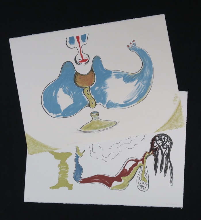 Lot met 2 werken van Ruud Dijkers: Litho kopen? Bied vanaf 1!