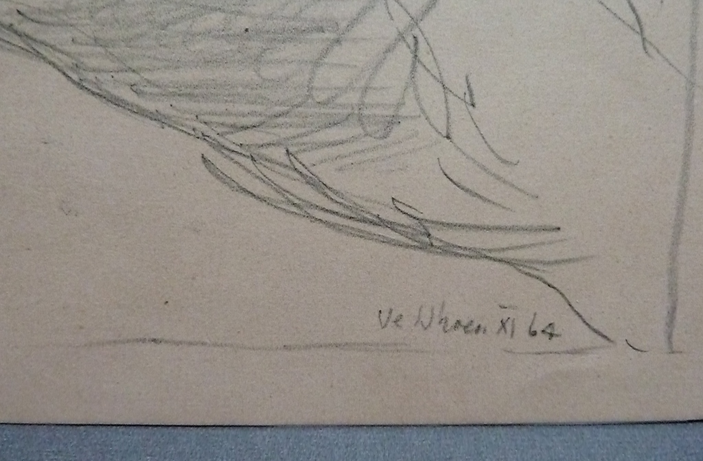   naakt  kopen? Bied vanaf 1!