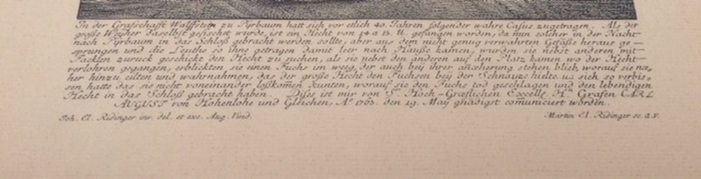 Ets - Johann Elias RIDINGER (Ulm 1698, Augsburg 1767) kopen? Bied vanaf 50!