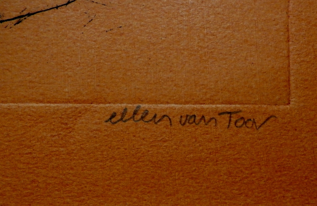 Ellen van Toor -handbewerkte kleurenets  kopen? Bied vanaf 35!