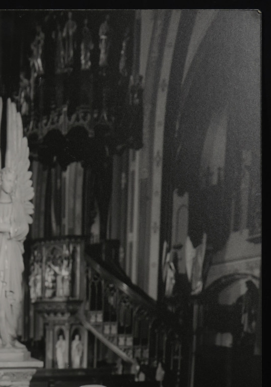 Carli Hermes: Foto op aluminium, Z.T. kopen? Bied vanaf 225!