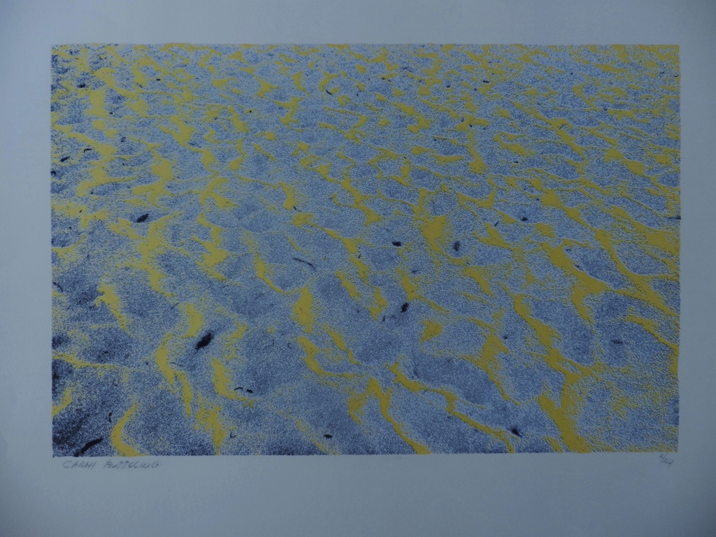 CARMI BUTTELING Zeefdruk DE ZEE Handgesigneerd SLECHTS 24EX!!! kopen? Bied vanaf 45!