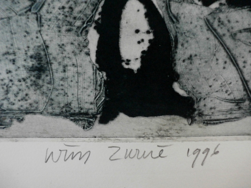 Wim Zurne - ets: kat op de vijverrand - 1996 kopen? Bied vanaf 60!
