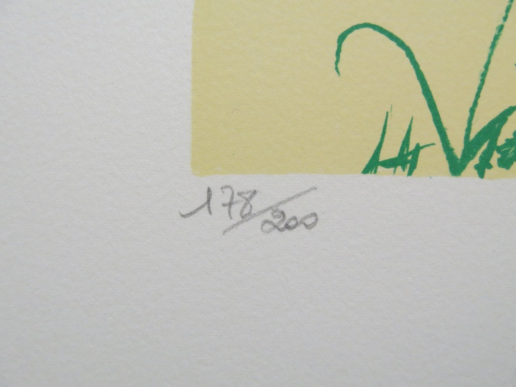 MARTIN BRADLEY  Zeefdruk  DUCK  uit 1990  Handgesigneerd kopen? Bied vanaf 55!