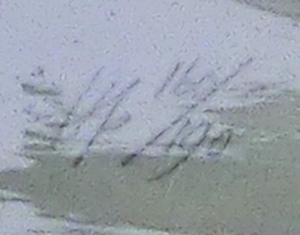 Monogram HP kopen? Bied vanaf 1!