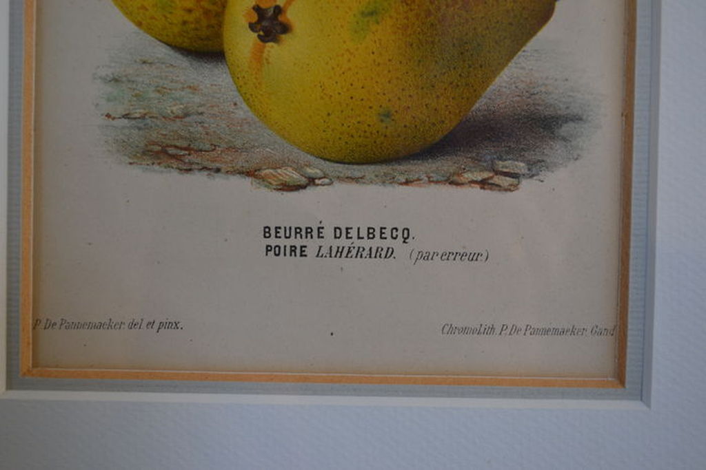 De Pannemaeker (1855-1885): Chromolitho, Beurre Delbecq Poire Laherard, ca 1880 kopen? Bied vanaf 20!