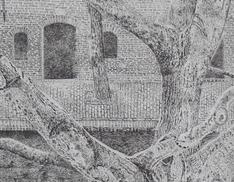 Charles Donker, Ets, Boom aan gracht  kopen? Bied vanaf 90!