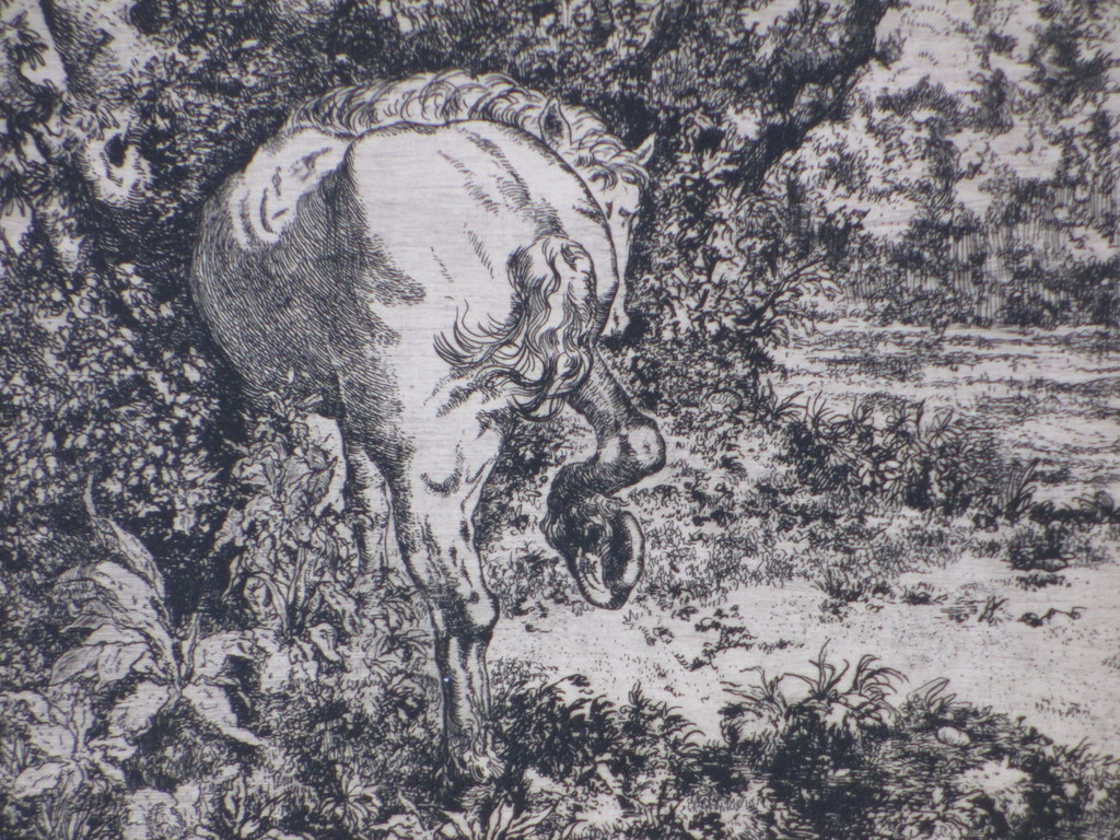 Ko Prange, Mythologisch paard, Ets kopen? Bied vanaf 35!