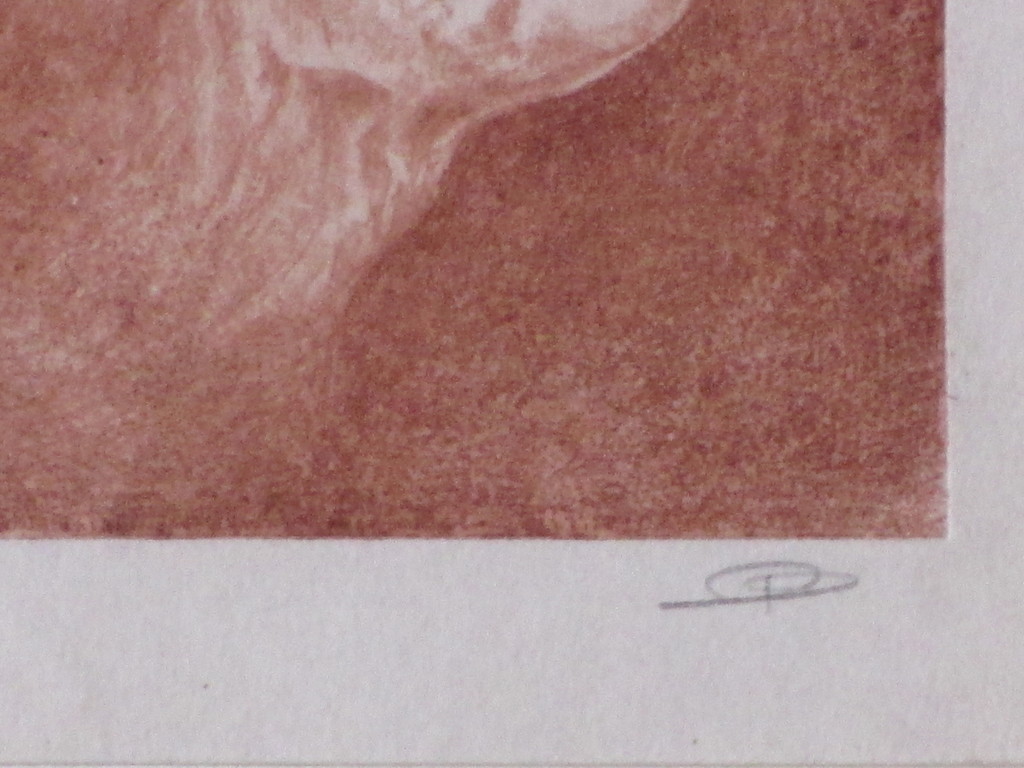 Dirk Boode - Dirk Boode, Getekende kop, Celluloid gravure kopen? Bied vanaf 1!