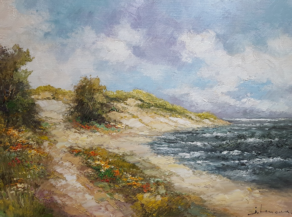 Prachtig kustaanzicht - mooi werk, olie op paneel (82x63) verkocht voor € 65!