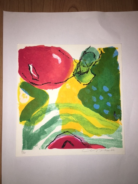 Henk van Vessem, vier kleurenlitho's handgesigneerd kopen? Bied vanaf 35!