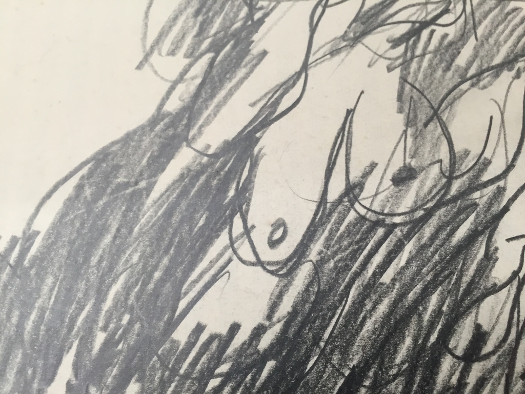 JAN SIERHUIS Originele tekening kopen? Bied vanaf 1!