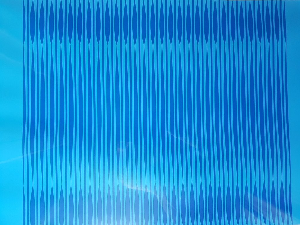 Dordevic Miodrag - Dordevic Miodrag (1936) - zeefdruk 35/100, gesigneerd (ingelijst) kopen? Bied vanaf 1!