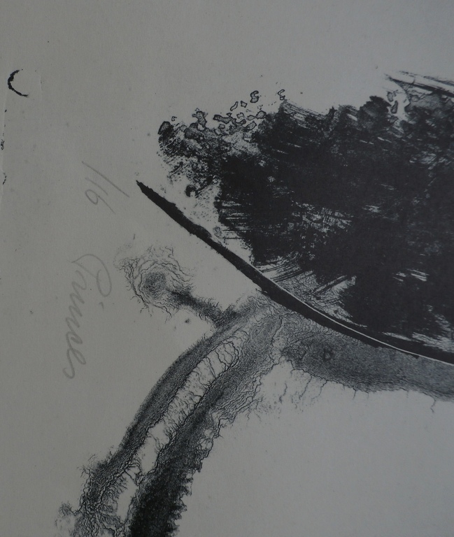 Wim Zwiers - Litho -  kopen? Bied vanaf 35!