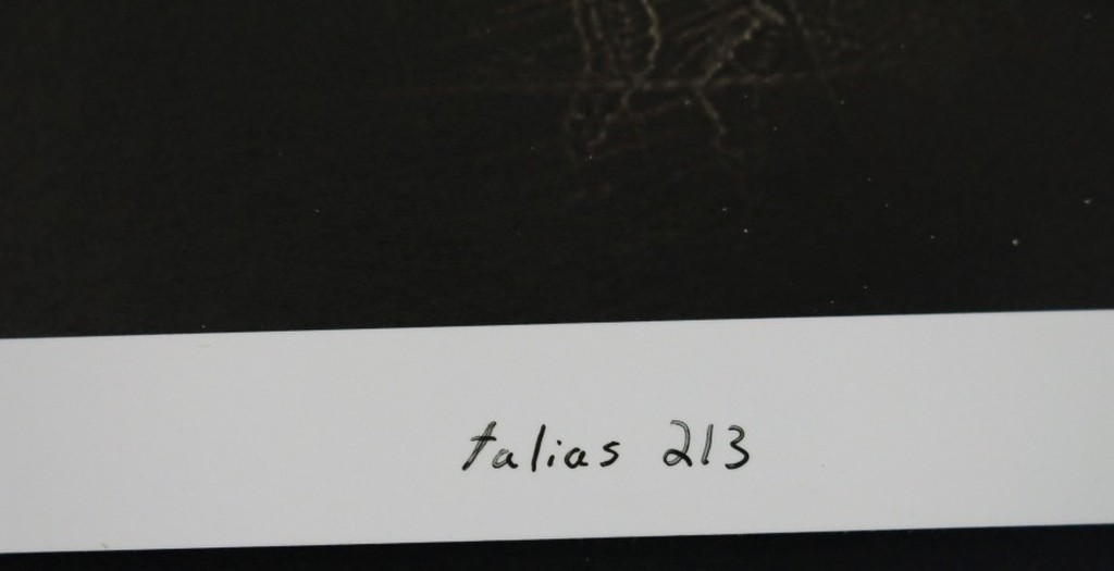 Michel Roy (MIK): Foto, Talias 213 kopen? Bied vanaf 1!