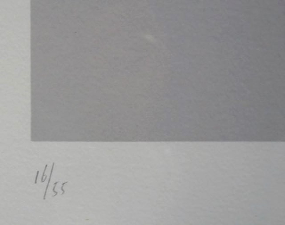 Peter Jordaan: Zeefdruk, Z.T. geel/rood - Ingelijst kopen? Bied vanaf 1!