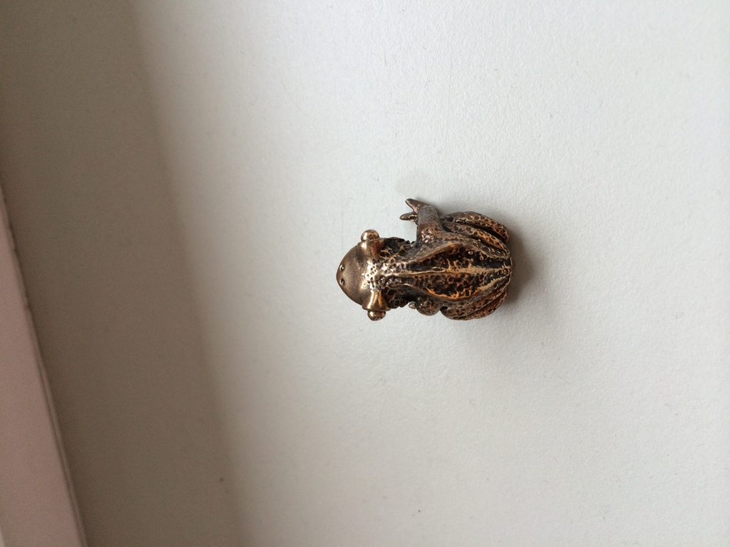 Kikkerbeeldje kopen? Bied vanaf 25!