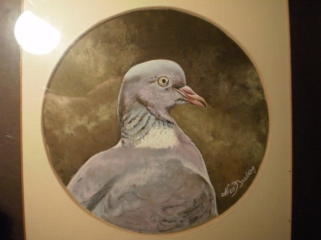 Nico Bulder Houtduif Gouasche kopen? Bied vanaf 110!