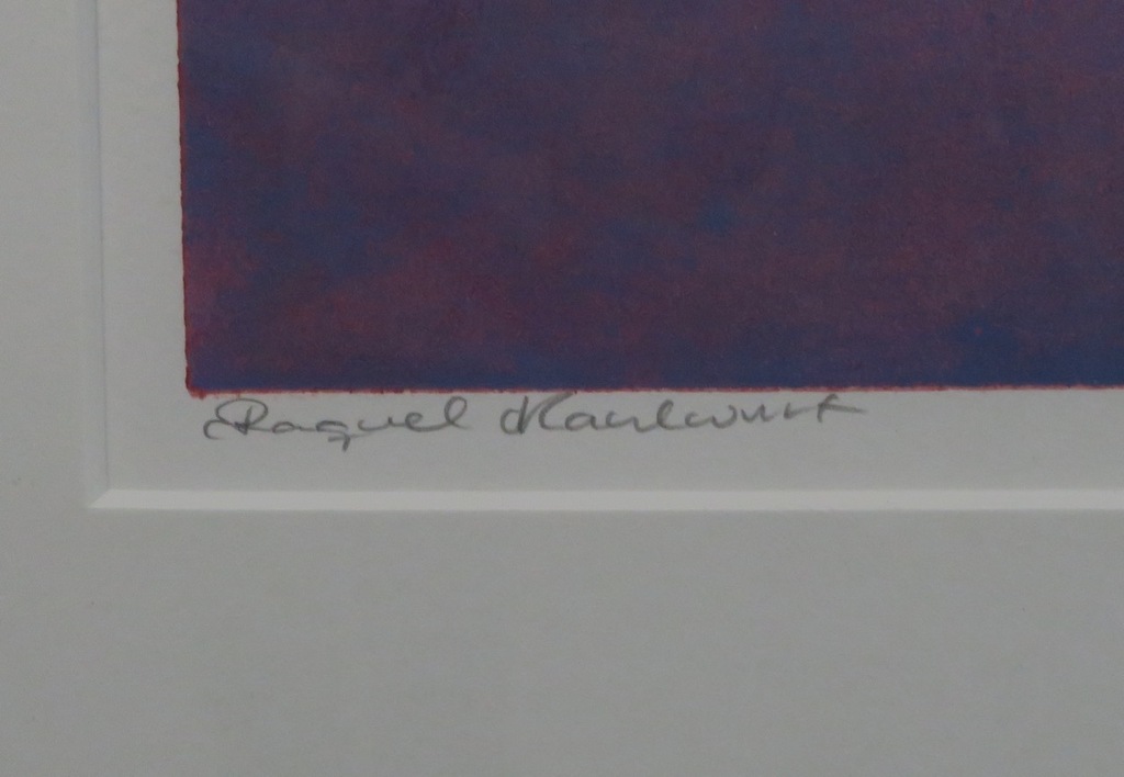 Raquel Maulwurf: Lino, Zwemmen - Ingelijst kopen? Bied vanaf 35!