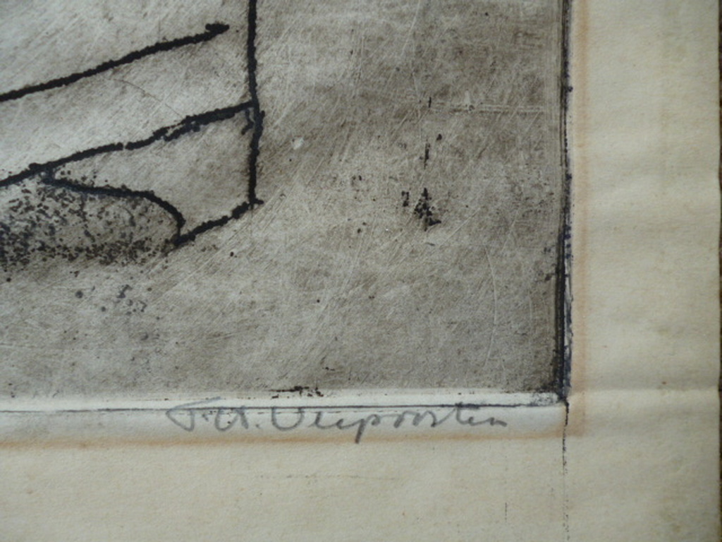 Frans Verpoorten - kleurenets - De groene ara kopen? Bied vanaf 55!