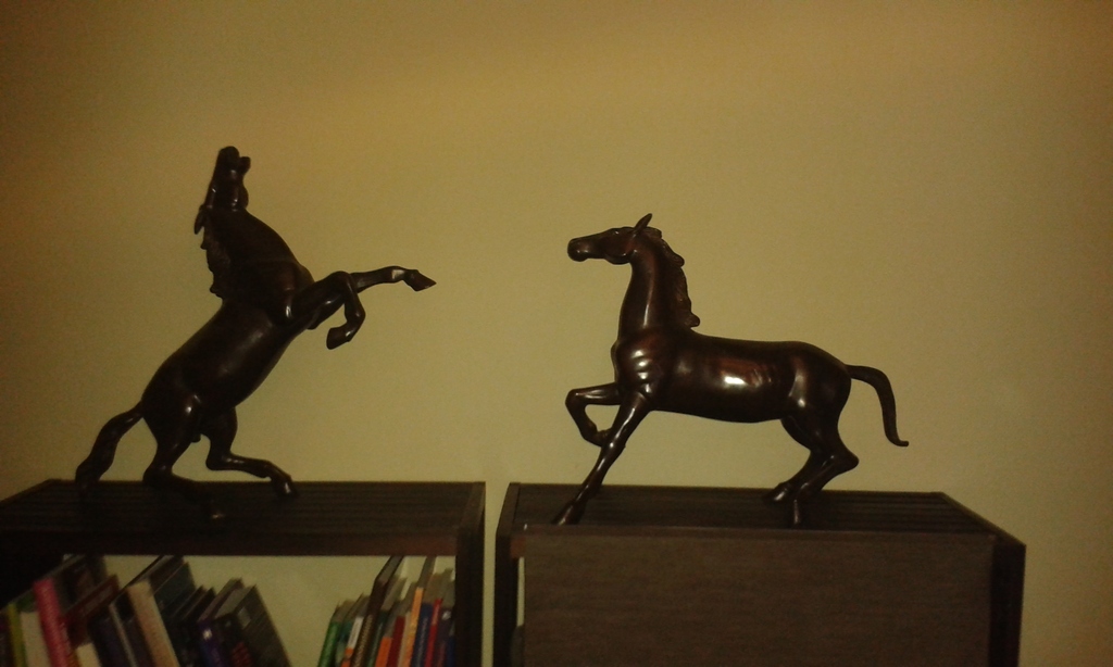 Flanders Fields Berlinde De Bruyckere Gent kopen? Bied vanaf 500!