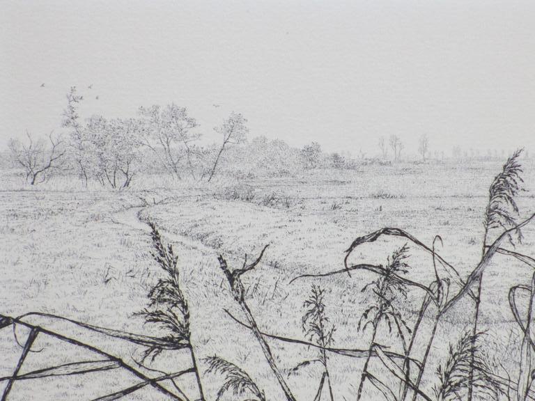 Reinder Homan, Landschap met riet in polder, Ets kopen? Bied vanaf 80!