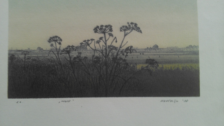 Zomer en Herfst op één vel kopen? Bied vanaf 31!