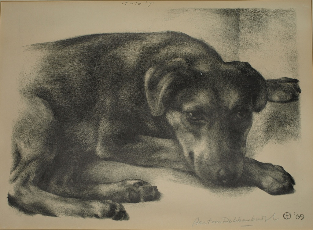 Aart van Dobbenburgh : Litho – Hond – Gesigneerd - 1969 kopen? Bied vanaf 1!