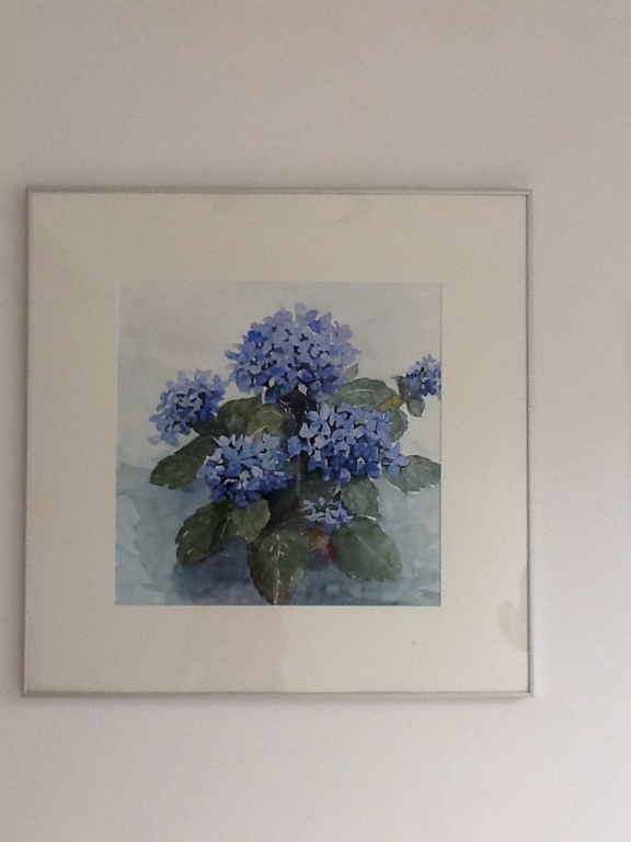 Aquarel van blauwe hortensia van Mees Douglas kopen? Bied vanaf 125!