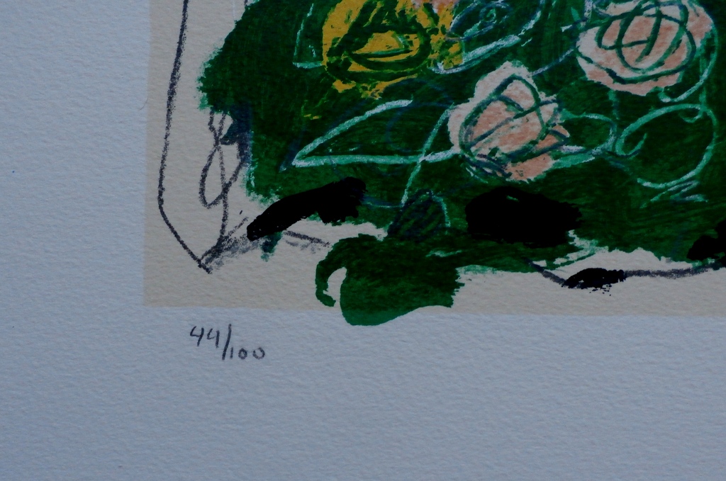 Kees Salentijn - litho - handgesigneerd  kopen? Bied vanaf 55!