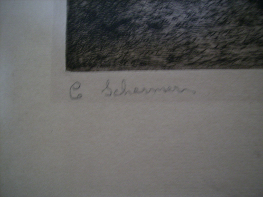 C. Schermer:  kopen? Bied vanaf 20!
