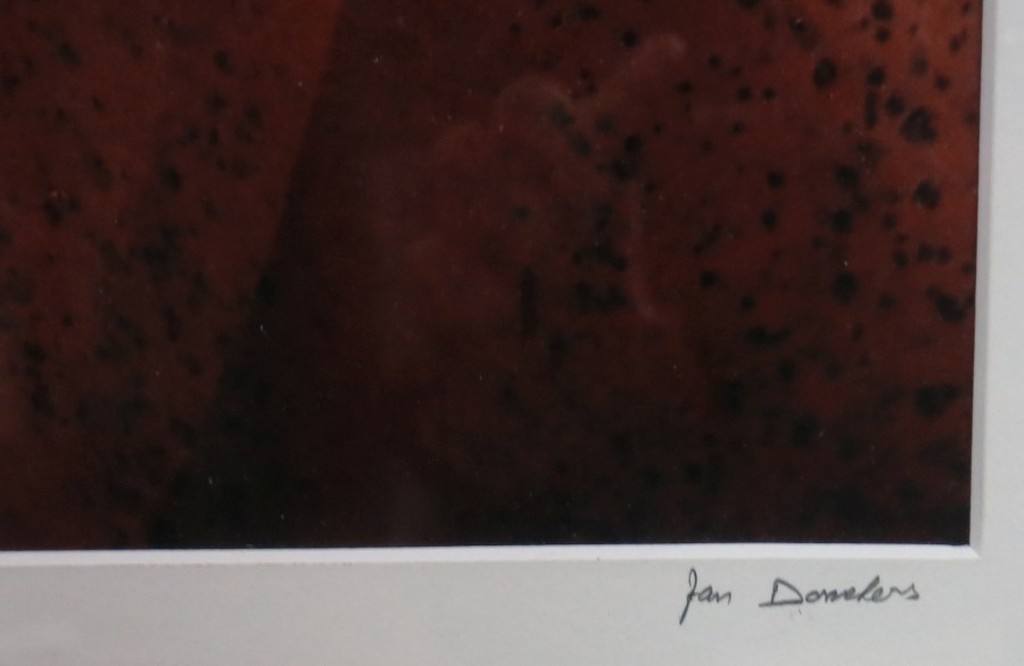 Jan Donkers: Foto, Zonder titel - Ingelijst kopen? Bied vanaf 50!