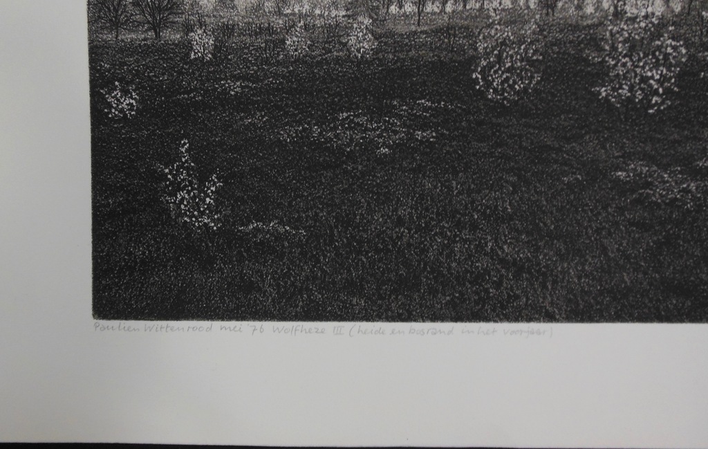 Paulien Wittenrood: Ets, Wolfheze II kopen? Bied vanaf 20!