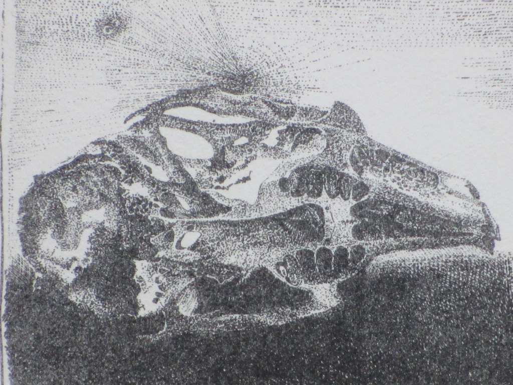 Charles Donker, Schedel, Litho kopen? Bied vanaf 35!