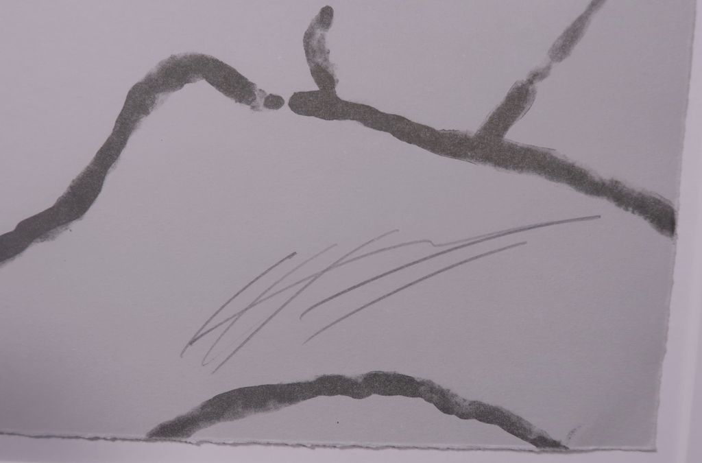 Jan Hendrix: Zeefdruk, Takken I kopen? Bied vanaf 1!