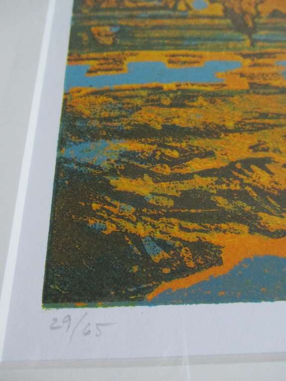 Elmar Gille, grafiek 1995, Mooi ingelijst kopen? Bied vanaf 70!