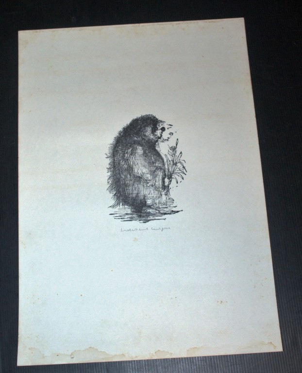  -  Egel  -  gesigneerde handpers druk kopen? Bied vanaf 50!