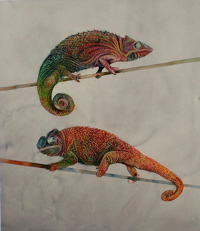 Bruno Bruni -Twee Kameleons- Prachtig mooie Pigmentdruk. Gesigneerd. 2017 kopen? Bied vanaf 69!