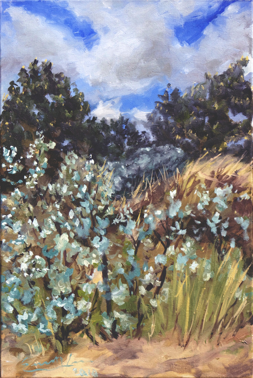 Ernst Voss: Usedom1_10_60x40cm olieverf op doek kopen? Bied vanaf 350!