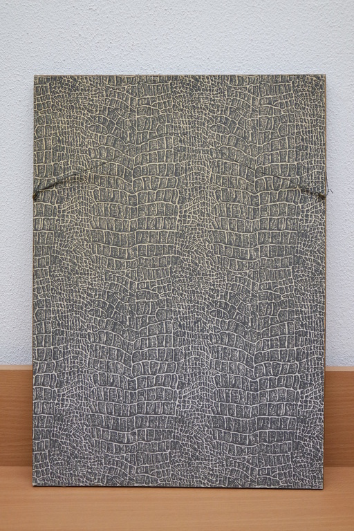 Cool - van Oosten Slingeland , C.J.G. (1887-1975) - ets - boomgezicht kopen? Bied vanaf 35!