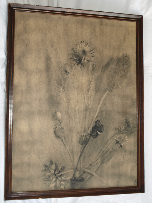 Onbekend : Tekening conté-potlood , Wilde bloemen – Gesigneerd & ingelijst  kopen? Bied vanaf 1!