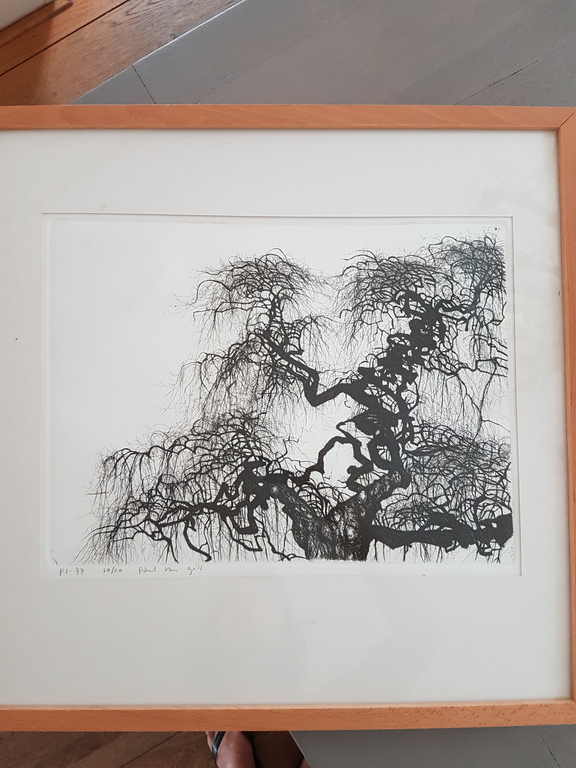 Paul van Gils: Litho, Boom kopen? Bied vanaf 200!